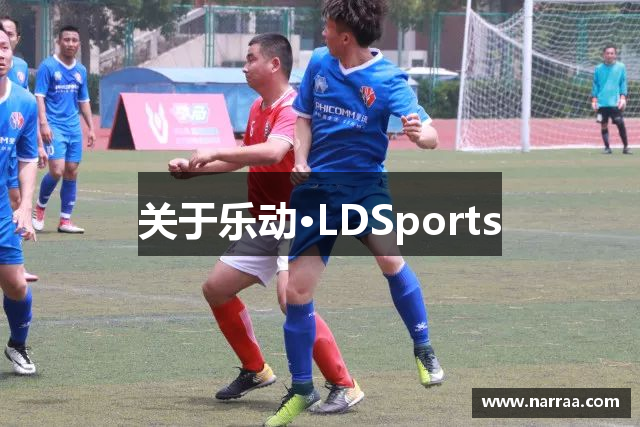 关于乐动·LDSports